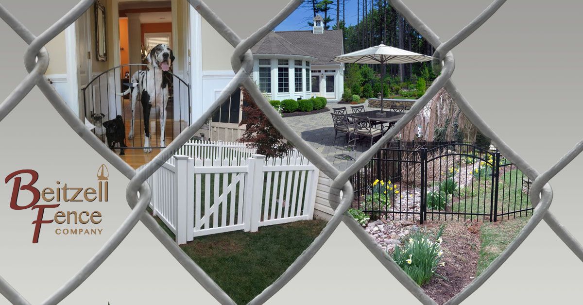 New painted wooden fence made of pine Beitzell Fence Graphic