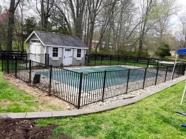 8 Reasons You Need a Pool Fence