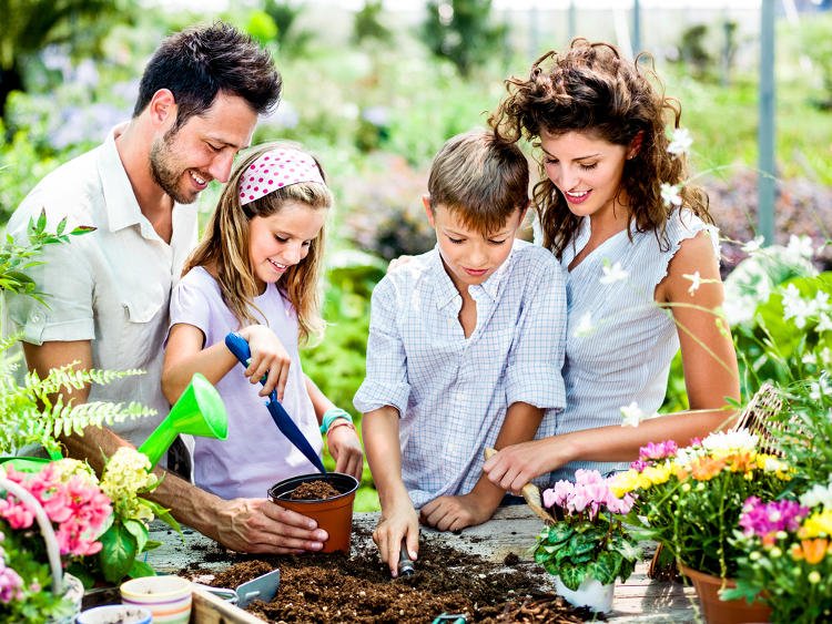Use Fence Installation to Keep Your Garden Safe